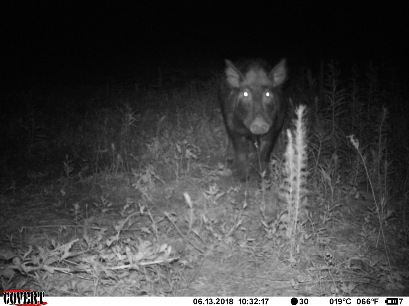 8B05B82F-1CC2-4423-BF1E-32046BE37607