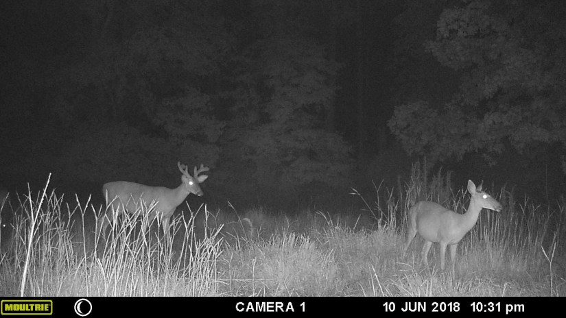 91F55DF4-AEFA-421B-81AC-7DDA03EB31A9