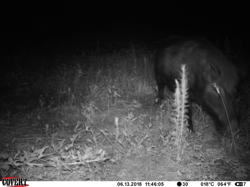 922F50C9-EF8B-41C8-BBEB-2AD81577E94B