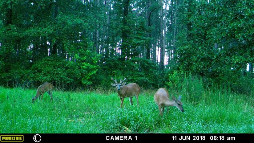 944EDB96-AE24-4F65-A2A9-AC92B1E0C6EB