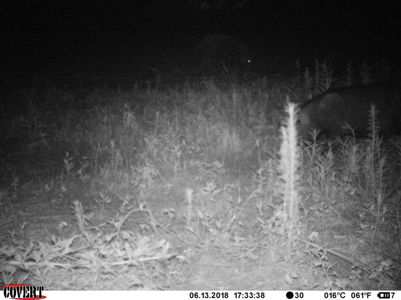 972A5240-CA79-45DE-A123-CFD8824B247F