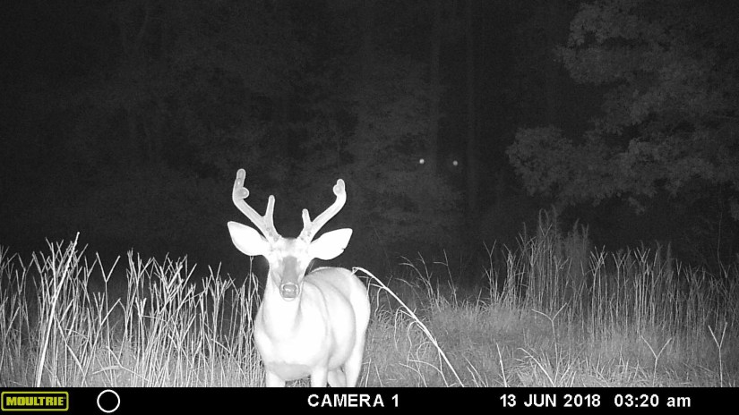 9BE95919-B6B9-4DAA-86D8-DB7A8BF2999A