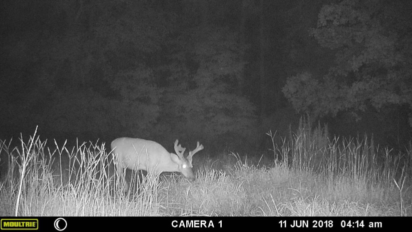 A23181EE-C3B3-4391-B068-F6EBCB6C7BFE