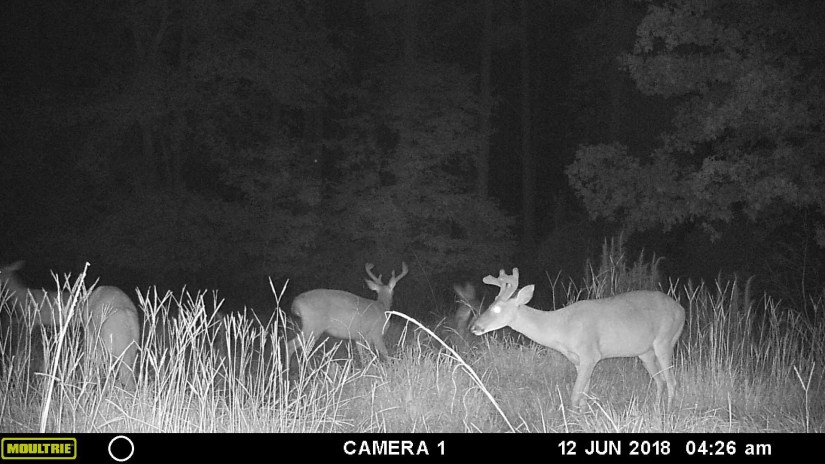 AB2A9D47-C17F-4AB2-8D60-E81C2D0BCCA7