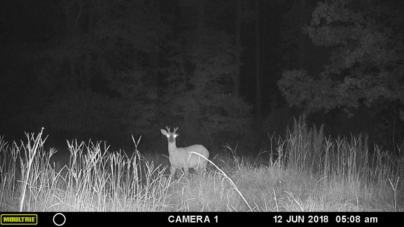 B15BB257-5237-40A2-9FD7-2414D6790D45