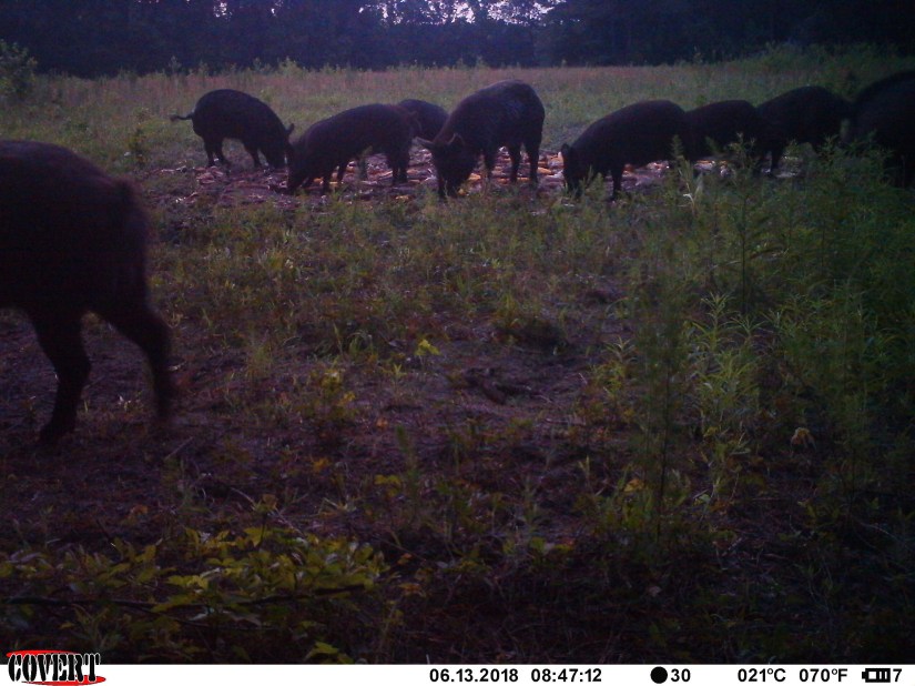 B634772A-FBE9-4080-965D-64FDBEB15472