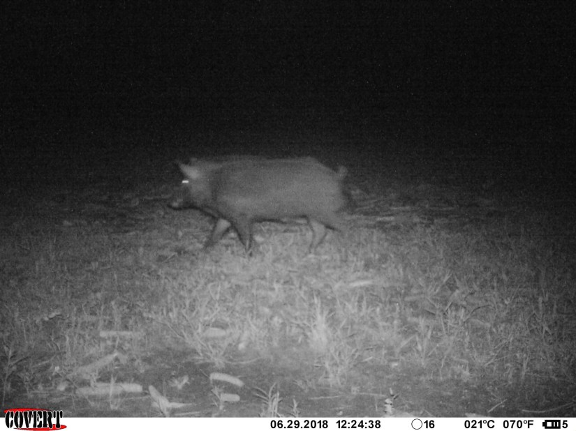 B9247B00-7472-46ED-9F2C-EBB1E6E24FB9