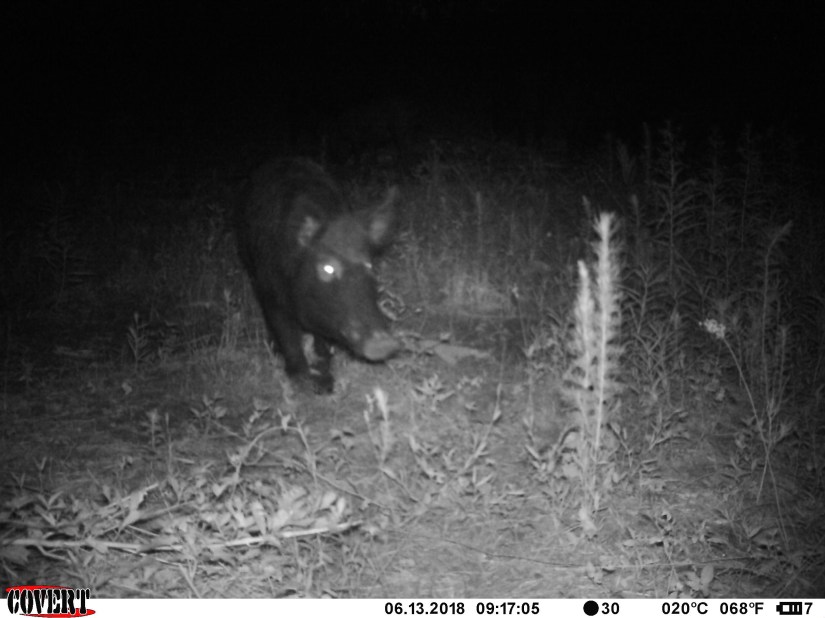 C25B6ECB-B490-46FD-9670-E969136C70B4