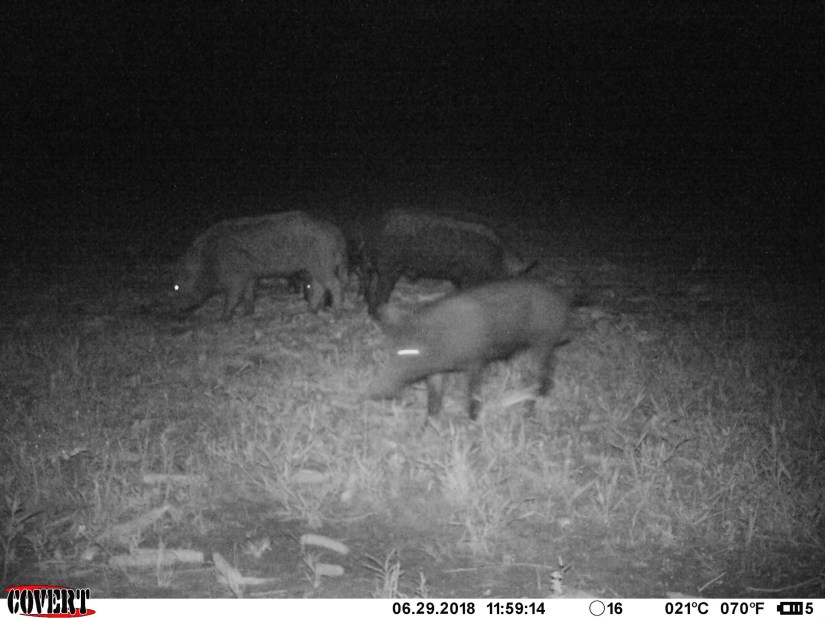 C4117602-56E4-4286-A5FC-3EDE46CE5D92