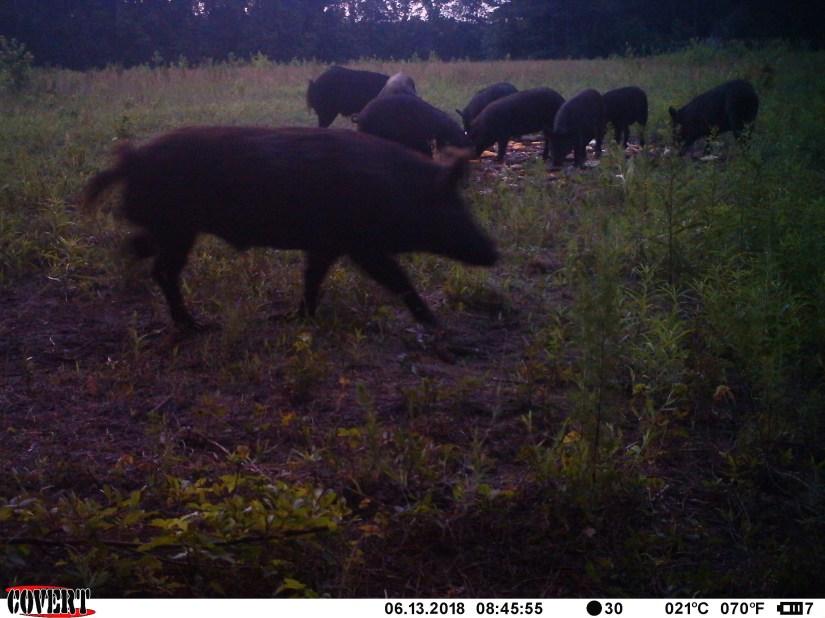 CA17777A-8CB8-4B3F-9C88-D7AF5B63FB2F