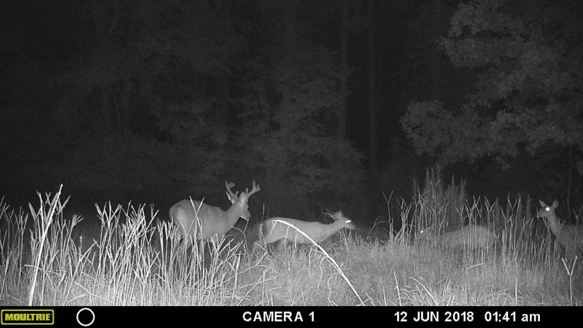 CD18111C-CF24-4BAD-86FB-04B13B2B3797