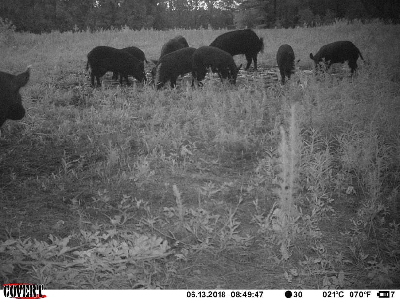 CD384A8C-404F-420C-B494-C0584E412922