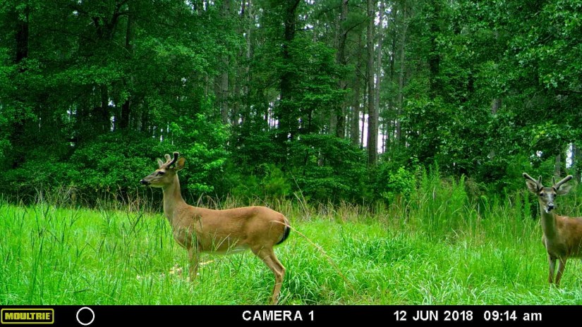 CD70A386-6938-46F5-9720-41F3A0DAF43F