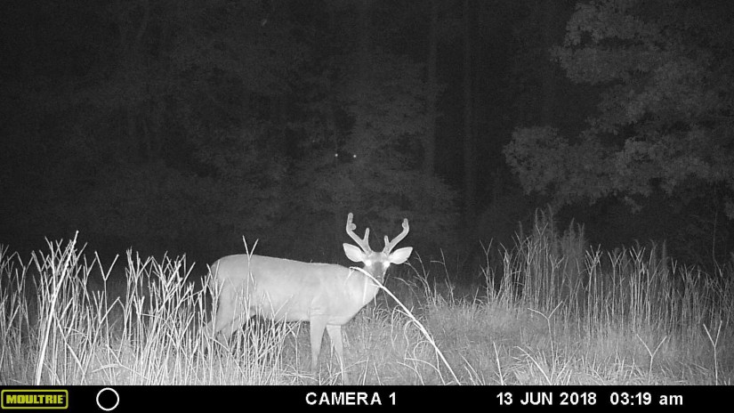 F7D759FD-4C0C-424E-AD2C-DAA3F2728E34