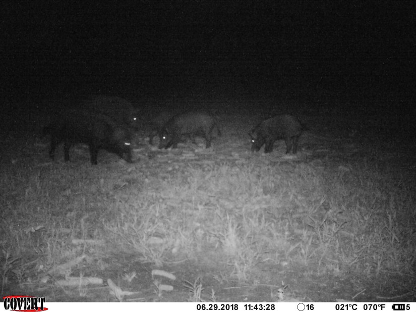 F8EEBEF6-4328-4B63-A2FF-5AC10E8F1ADA