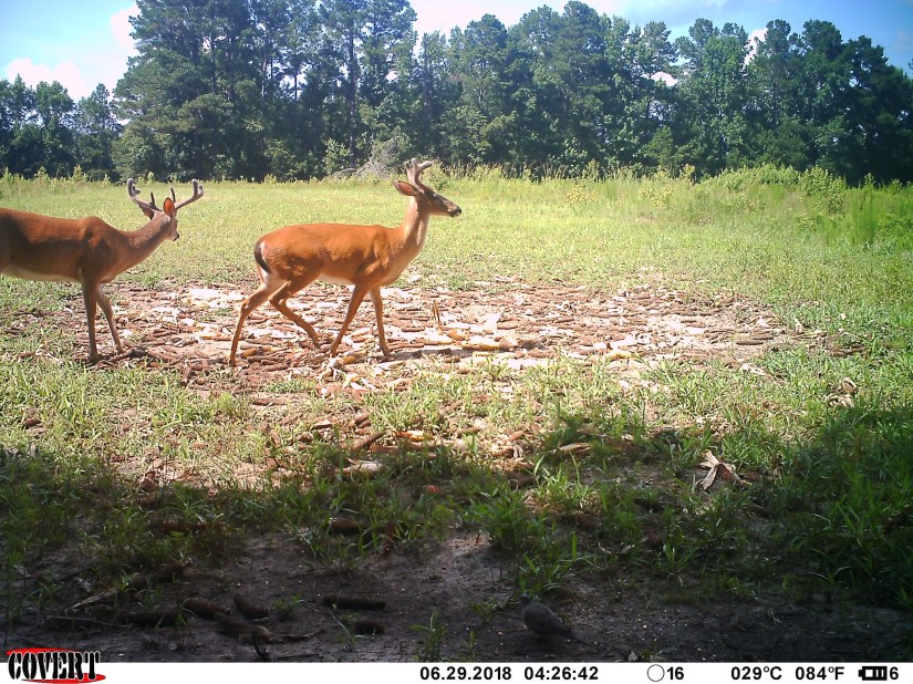 F9515D7E-8099-42E2-BC7E-F2156639B1DC