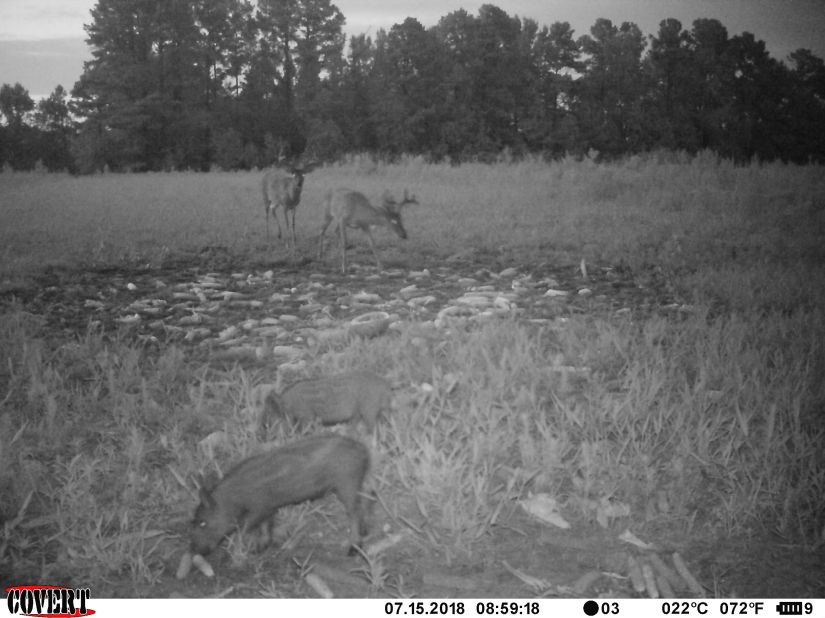 17FC3386-1106-4E58-BDCB-F06AF66DA11E