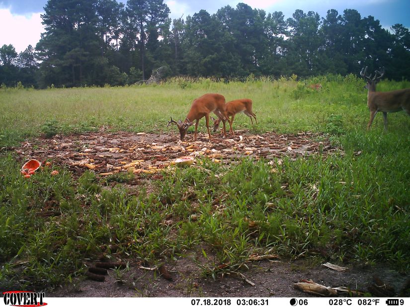 900D7847-7BBD-4E55-AA0D-6AE5A67C7DCB