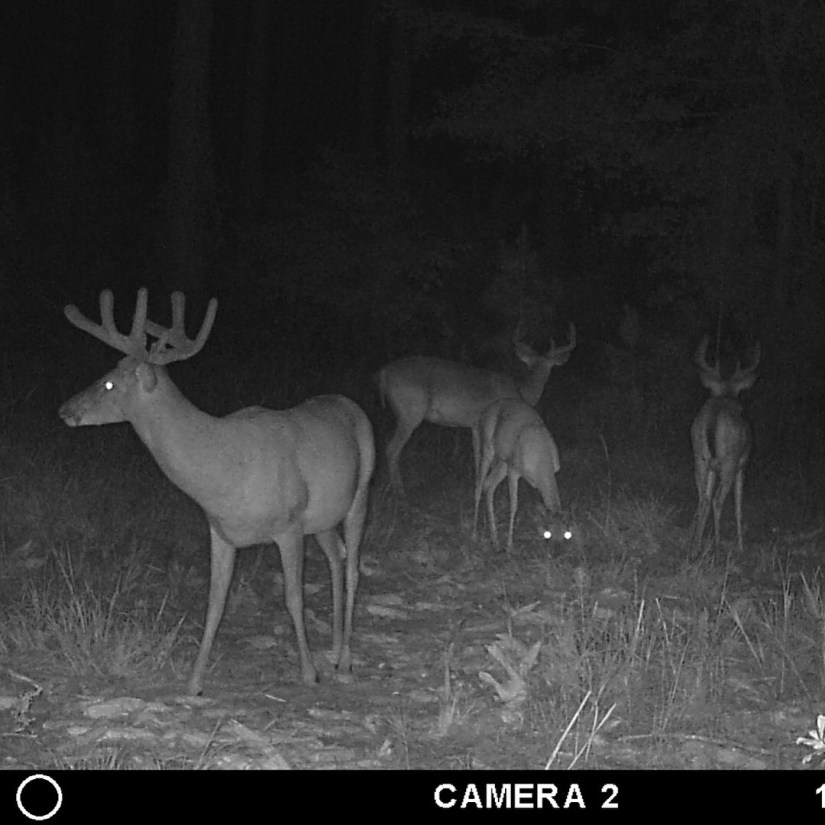 BF72A337-954E-42C4-8E4A-E4F2E7E0513A