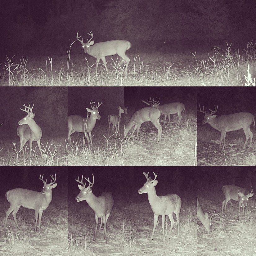 F38BE5DF-C034-4C1B-BFC7-A5BC95BB4889