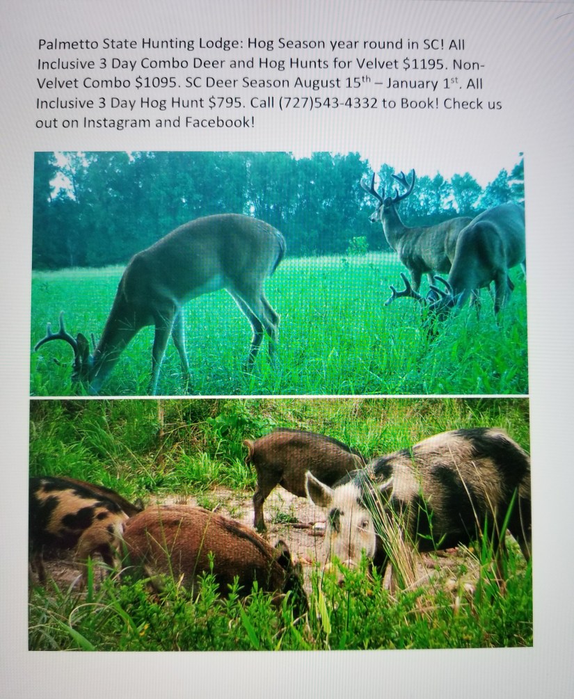 75B1D839-6866-4C6A-AF4F-AEB8177CCC45