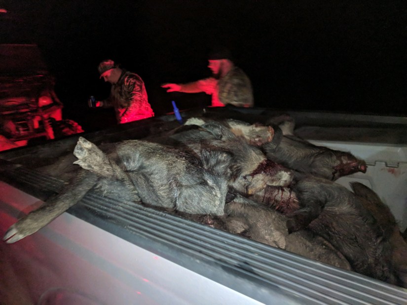 1903E176-7AF0-4D74-8CD3-83833135C3D1