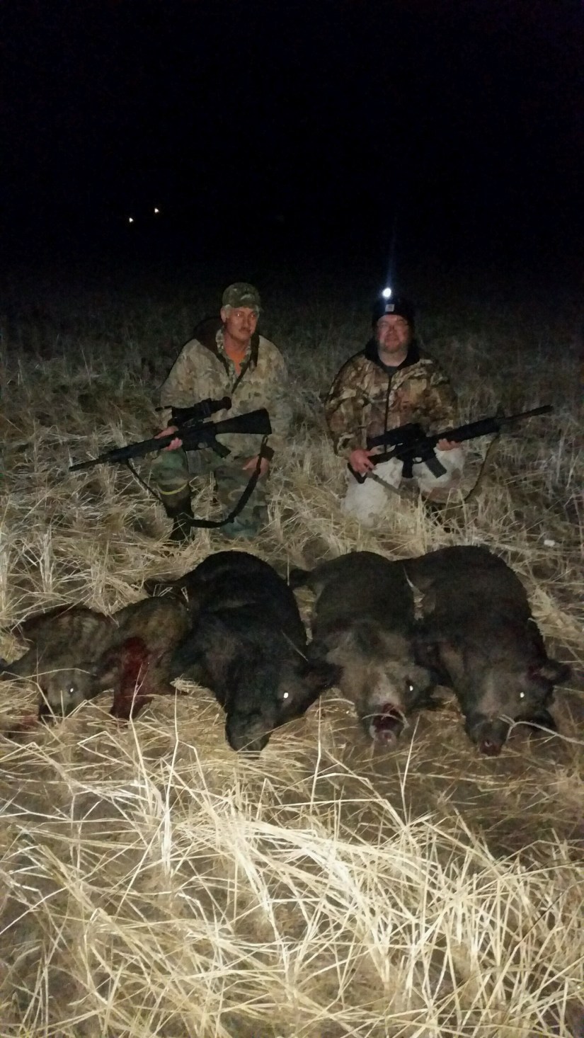 41BE991A-14C9-46F4-8045-2DCC9ACC548F