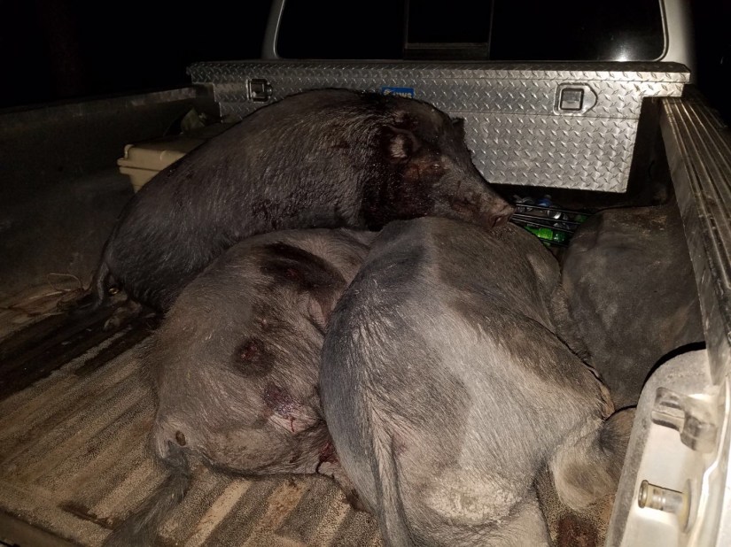 957187A3-35AC-40A7-BBED-F84C79145F9E