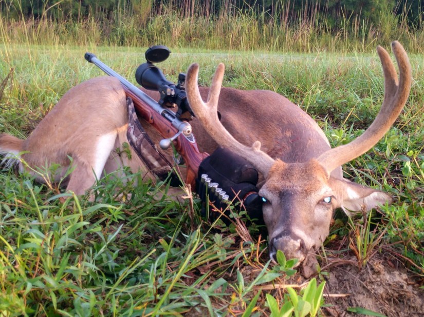 01BFB5BA-3345-46B1-A29A-A73EF2A1FFF3