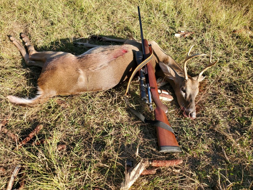 2280C7FA-78F1-4C74-BD5A-081D4E59632B