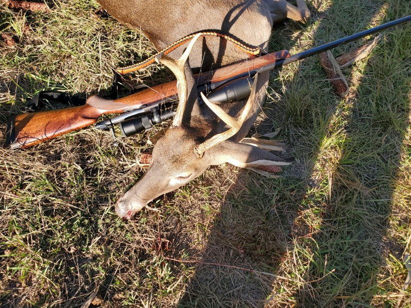 309DEC42-6D2D-45AE-8C86-C3A4687484A8