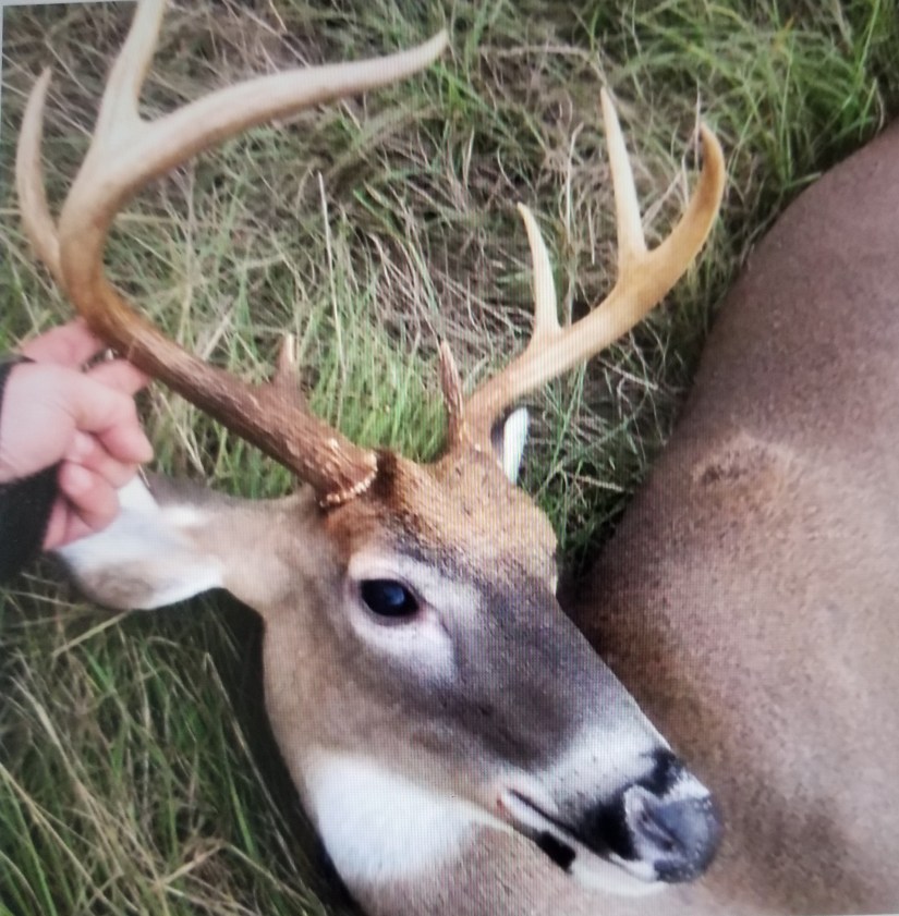 D4E67365-10FE-4406-93CC-DA203E7ADA9D