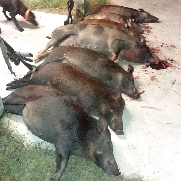 EF464FE5-5E84-465D-9A3D-21C36E1A9B78